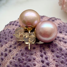 PEACHY PINK EDISON PEARL STUDS 10MM GF (E20)
