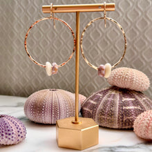 C. DOUBLE PUKA SHELL HOOP EARRINGS GF(E13)