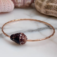 BROWN CHALDEAN CONE SHELL BANGLE 8" GF (B22)