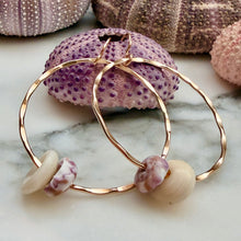 C. DOUBLE PUKA SHELL HOOP EARRINGS GF(E13)