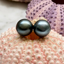 BLUE HUE TAHITIAN PEARL STUDS GF 9.7MM (E24)