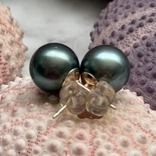 BLUE GREEN TAHITIAN PEARL STUDS GF 9.8MM (E26)