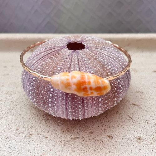 ORANGE MITER SHELL BANGLE 7.5