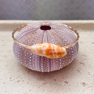 ORANGE MITER SHELL BANGLE 7.5" GF (B41)