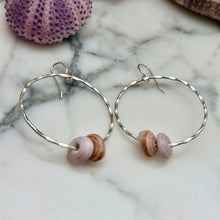 DOUBLE PUKA SHELL HOOP EARRINGS SS (E16)