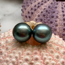 BLUE GREEN TAHITIAN PEARL STUDS GF 9.8MM (E26)