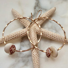 B. DOUBLE PUKA SHELL HOOP EARRINGS GF(E14)