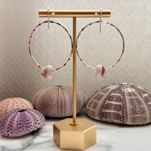 DOUBLE PUKA SHELL HOOP EARRINGS SS (E16)