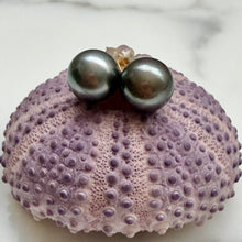 CLASSIC TAHITIAN PEARL STUDS GF 9.7MM (E25)