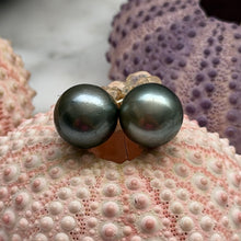 CLASSIC TAHITIAN PEARL STUDS GF 9.9MM (E28)