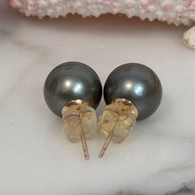 CLASSIC TAHITIAN PEARL STUDS GF 9.8MM (E35)