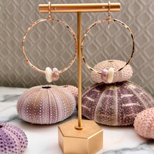 C. DOUBLE PUKA SHELL HOOP EARRINGS GF(E13)