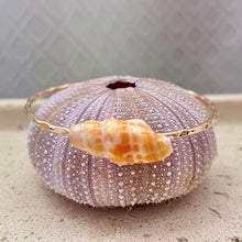 ORANGE MITER SHELL BANGLE 7.5" GF (B41)