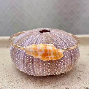 ORANGE MITER SHELL BANGLE 7.5" GF (B41)