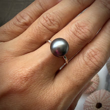 TAHITIAN PEARL SOLITAIRE RING SZ 7 SS (R6)