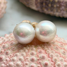 IRIDESCENT WHITE EDISON PEARL STUDS 9.7MM GF (E21)