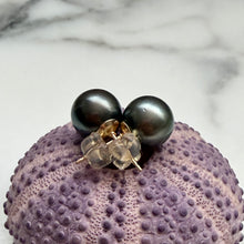CLASSIC TAHITIAN PEARL STUDS GF 9.7MM (E25)