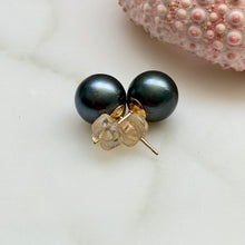 TAHITIAN PEARL STUDS 9MM-9.9MM