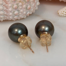 CLASSIC TAHITIAN PEARL STUDS GF 9.9MM (E33)