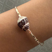 BROWN CHALDEAN CONE SHELL BANGLE 7.5" GF (B25)