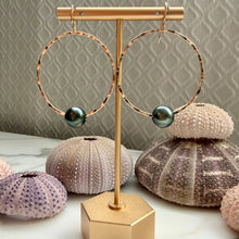 TAHITIAN PEARL HOOP EARRINGS GF (E12)