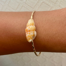 ORANGE MITER SHELL BANGLE 7.5" GF (B41)