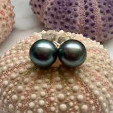 TAHITIAN PEARL STUDS SS 9.8MM (E29)