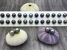 AAA TAHITIAN PEARL STUDS (10MM)
