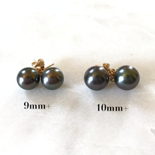 AAA TAHITIAN PEARL STUDS (10MM)